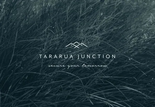 Tararua Junction, Greytown development image