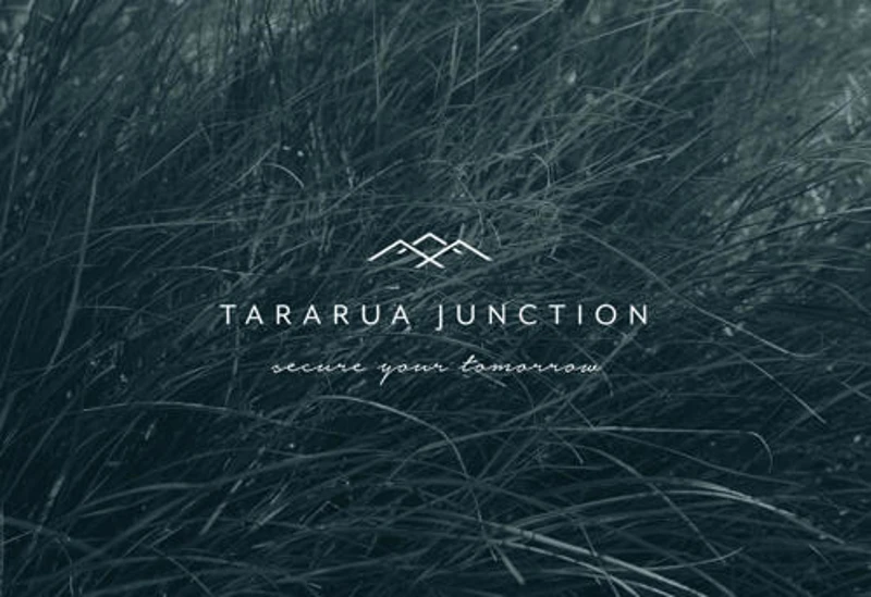 Tararua Junction, Greytown development image